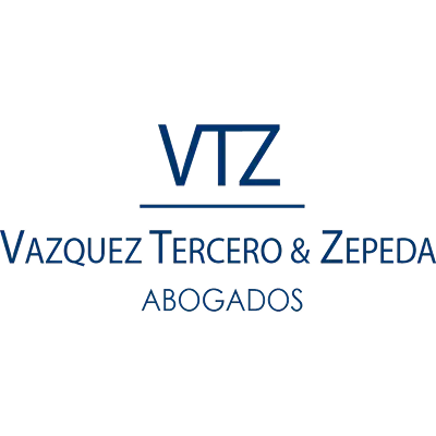 VTZ Partner